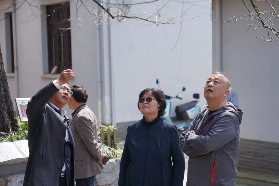 江苏重点电视剧《北上》开机仪式在南京举行